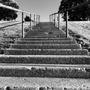 Photo of Belmont Park