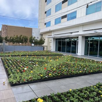 JW Marriott, Anaheim Resort - Garden walkway to shopping center - Hotels Near Me - Anaheim, California