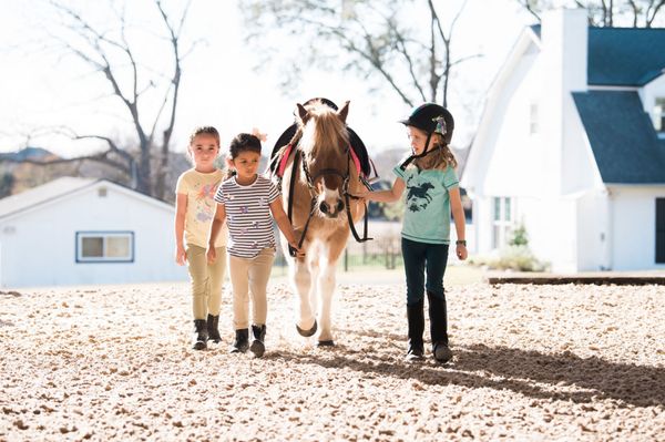 PALINA’S PONIES - Updated April 2026 - 12 Photos - 31814 Walnut Creek ...