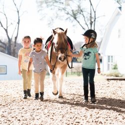 Palina's Ponies