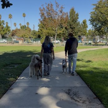 Lori Hamilton Dog Training - Pet Training Near Me - Los Gatos, California