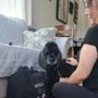 Photo of Canine Body Works