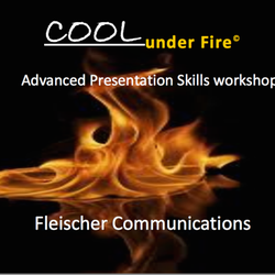 Fleischer Communications