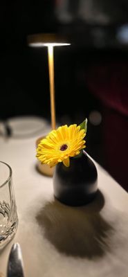 Bacchus Restaurant & Lounge by null