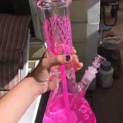 Glass Chamber Smoke Shop - This bong is beautiful but the paint never stayed and the new owner is just terrible..