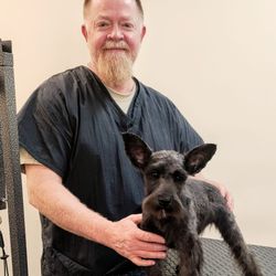 Red's Dog Grooming - Cesar's first visit to Reds!