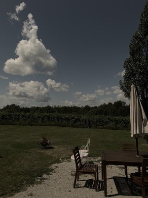 Northern Sun Winery and Vineyards by null