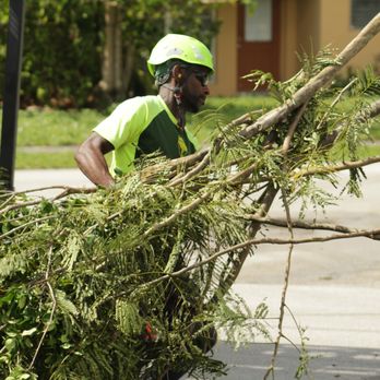 Bartlett Tree Experts - Cleaning up! - Tree Services Near Me - Oakland Park, Florida