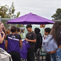 Impact Academy of Arts and Technology