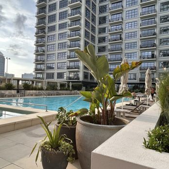ROOST Tampa - Pool - Hotels Near Me - Tampa, Florida ROOST Tampa - Pool - Hotels Near Me - Tampa, Florida