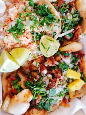 Taco Libre by null