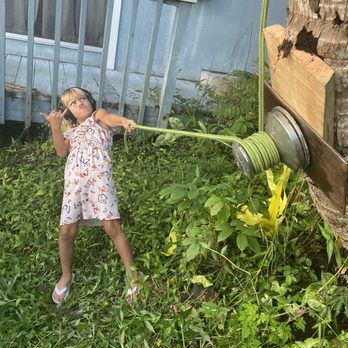 Hawaii Arborist - Tree Services Near Me Hawaii Arborist - Tree Services Near Me