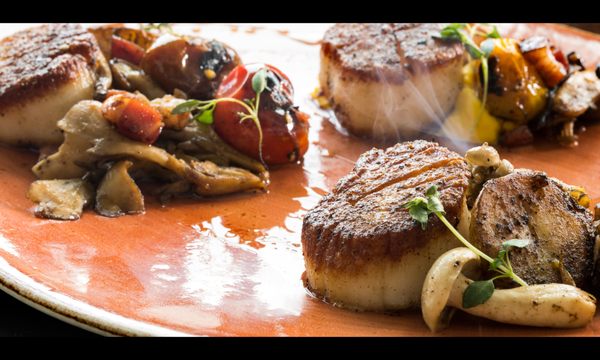 BALEENkitchen by null