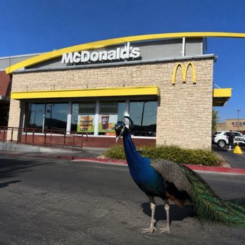 McDonald's - My poor Flora, still in shock from the rude, overwhelming anger of the employees. - Fast Food Near Me - Enterprise, Nevada McDonald's - My poor Flora, still in shock from the rude, overwhelming anger of the employees. - Fast Food Near Me - Enterprise, Nevada