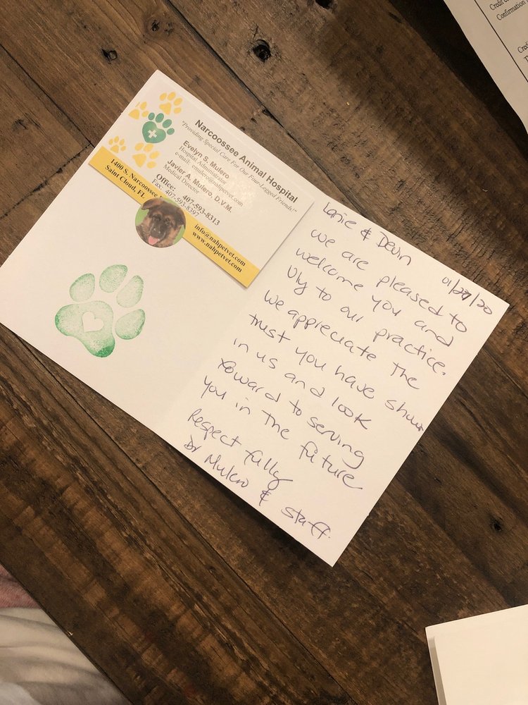 NARCOOSSEE ANIMAL HOSPITAL 19 Reviews 1400 S Narcoossee Rd, Saint