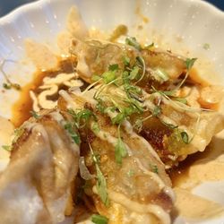 Tsunami Sushi Highland BR - Dumplings But Trouble