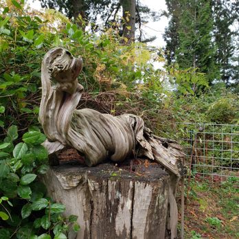 Orcas Island Pottery - So neat! - Art Galleries Near Me - Eastsound, Washington Orcas Island Pottery - So neat! - Art Galleries Near Me - Eastsound, Washington