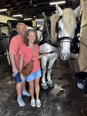 Palmetto Carriage Works by null