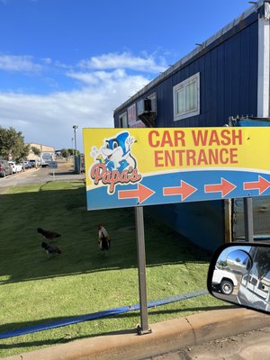 Amazing Car Wash Kahului Abstract Art Amazing Car Wash Kahului Abstract Art