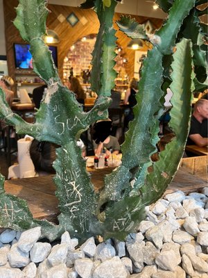 Mojo's Tacos - Franklin by null