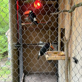 John Ball Zoo - Zoos Near Me - Grand Rapids, Michigan John Ball Zoo - Zoos Near Me - Grand Rapids, Michigan