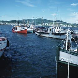 Buckeye Boat and Outboard