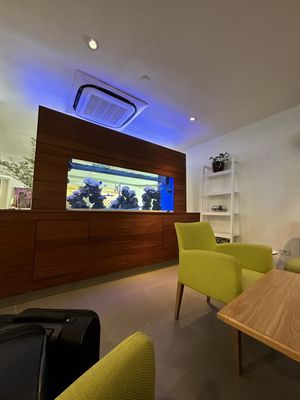 Condado Palm Inn San Juan, Tapestry Collection by Hilton by null