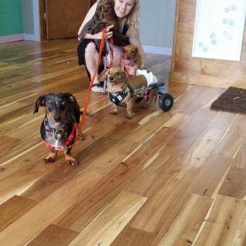 Pampered Paws Grooming - Julie and her adorable pups - Pet Groomers Near Me - Chicago, Illinois Pampered Paws Grooming - Julie and her adorable pups - Pet Groomers Near Me - Chicago, Illinois