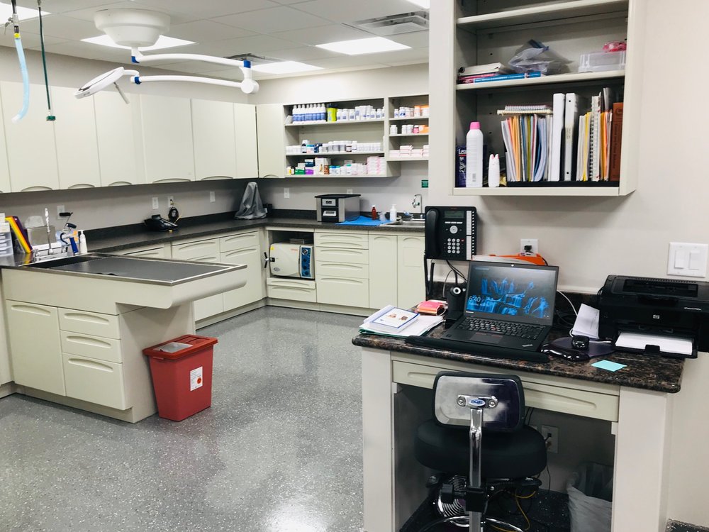 PLYMOUTH VETERINARY HOSPITAL Updated September 2024 725 Wing St, Plymouth, Michigan