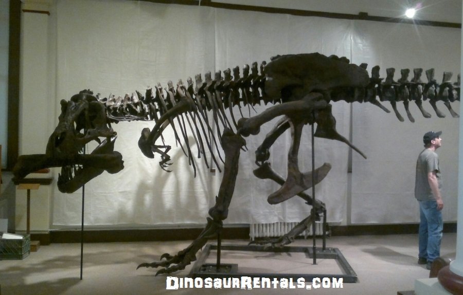 DINOSAUR RENTALS Updated September 2024 Request a Quote 1546 R