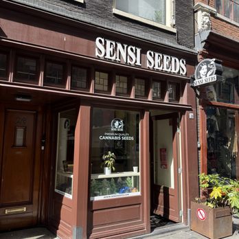 Sensi Seeds - Sensi Seeds Nieuwendijk - Concept Shops Near Me - Amsterdam, New Hampshire Sensi Seeds - Sensi Seeds Nieuwendijk - Concept Shops Near Me - Amsterdam, New Hampshire