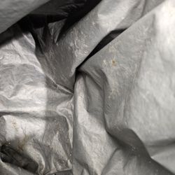 Mission Achievement and Success Charter School - Bag where milk is all nasty and smelly