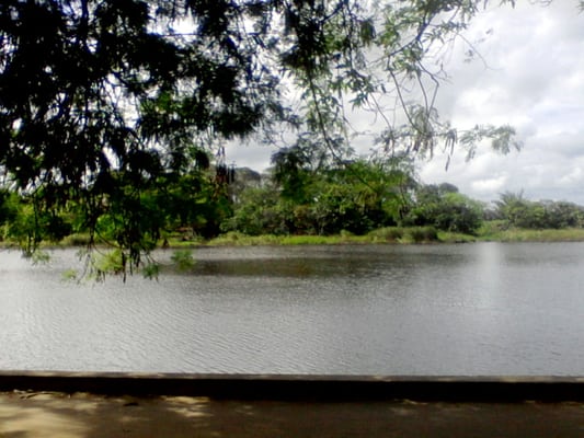 Praia do Forte by null