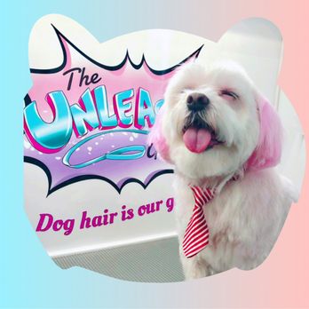 The Unleashed Groomer - Happy Pup! - Pet Groomers Near Me The Unleashed Groomer - Happy Pup! - Pet Groomers Near Me