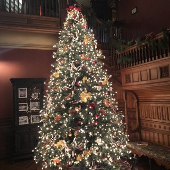 Eustis Estate Museum - Beautiful tree! - Museums Near Me - Milton, Massachusetts Eustis Estate Museum - Beautiful tree! - Museums Near Me - Milton, Massachusetts