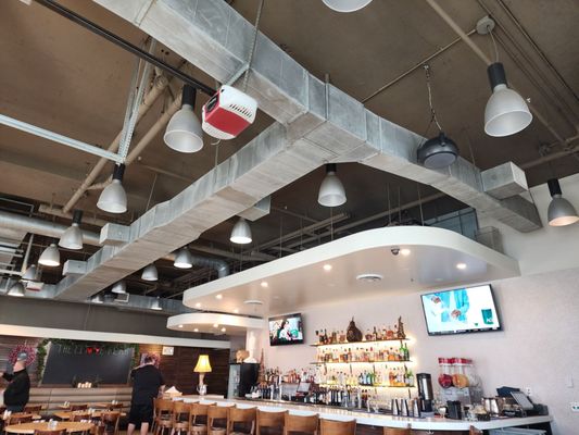 The Little Pear by null