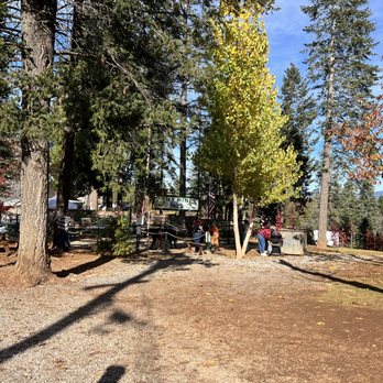 High Hill Ranch - Pony rides buy tickets at store. - Donuts Near Me - Placerville, California High Hill Ranch - Pony rides buy tickets at store. - Donuts Near Me - Placerville, California