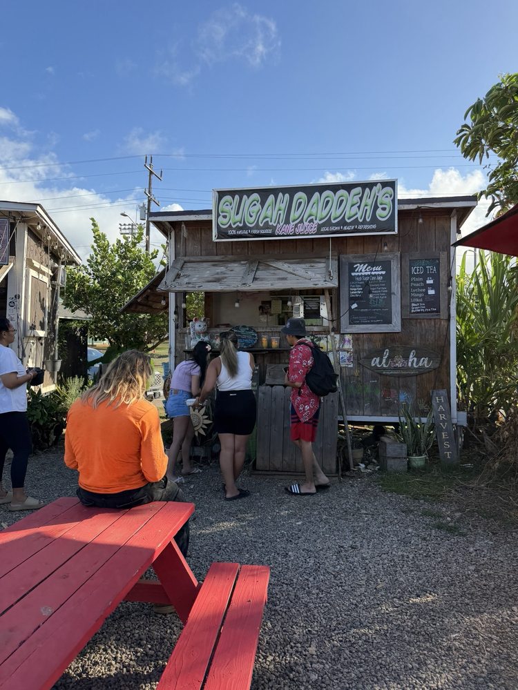 D’s Steak Truck Logo