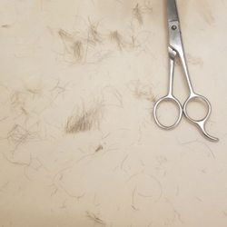 Great Clips