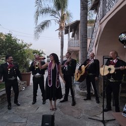 Mariachi Estrella