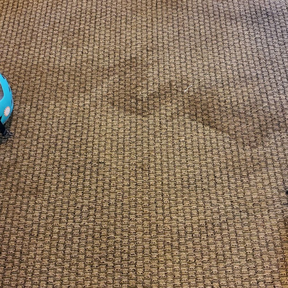 Would you walk barefoot on this carpet? Would you walk barefoot on this carpet?