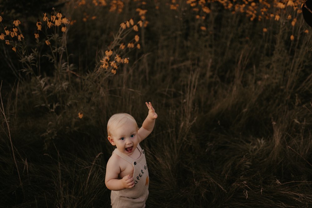 WYLD FOX 18 Photos Bismarck, ND Yelp