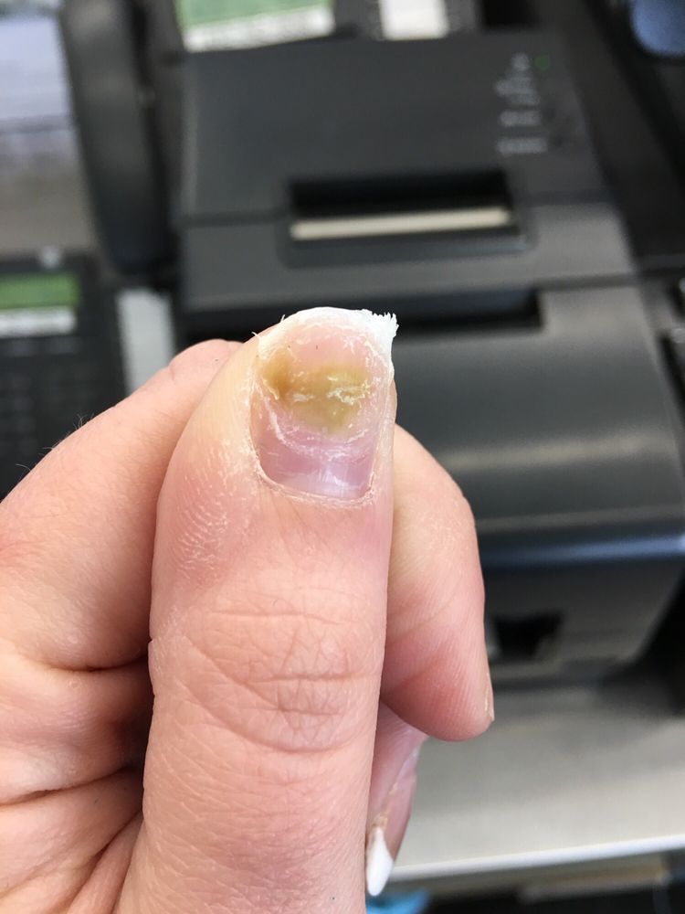 LE NAILS Updated August 2024 15 Reviews 2344 Ardmore Blvd