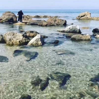 Church Piedigrotta by null