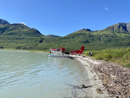 Rust's Flying Service by null