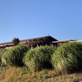 Ledford House - View of restaurant as we were leaving -- back patio seating - French Near Me - Albion, California