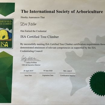 Miller Tree Care - Tree Services Near Me Miller Tree Care - Tree Services Near Me