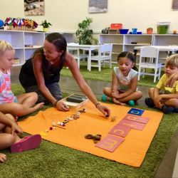 Little Monk Seal Montessori