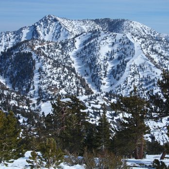 Mount Baldy - View from Turkey Shoot looking across at Thunder Mountain and its great ski runs. - Hiking Near Me - Mt Baldy, California Mount Baldy - View from Turkey Shoot looking across at Thunder Mountain and its great ski runs. - Hiking Near Me - Mt Baldy, California