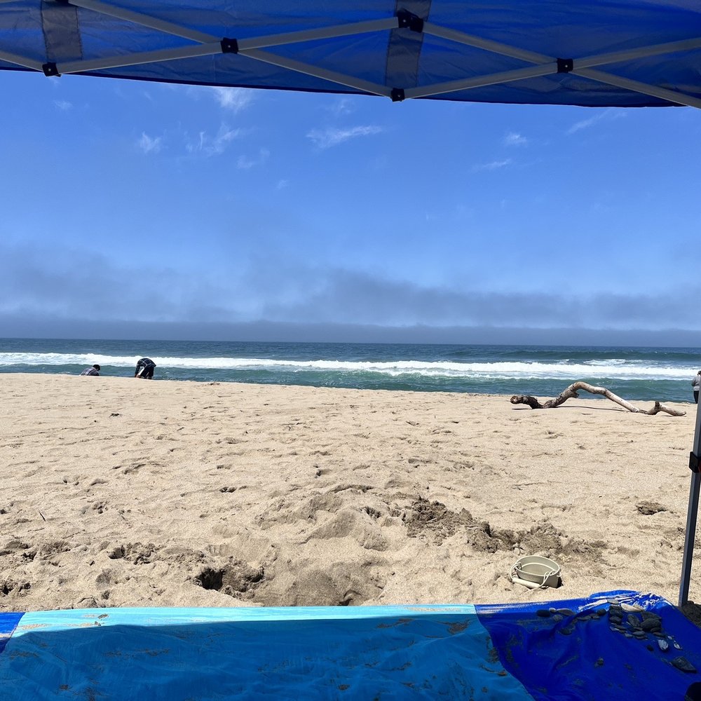 San Gregorio State Beach - Beach vibes - Beaches Near Me - San Gregorio, California San Gregorio State Beach - Beach vibes - Beaches Near Me - San Gregorio, California